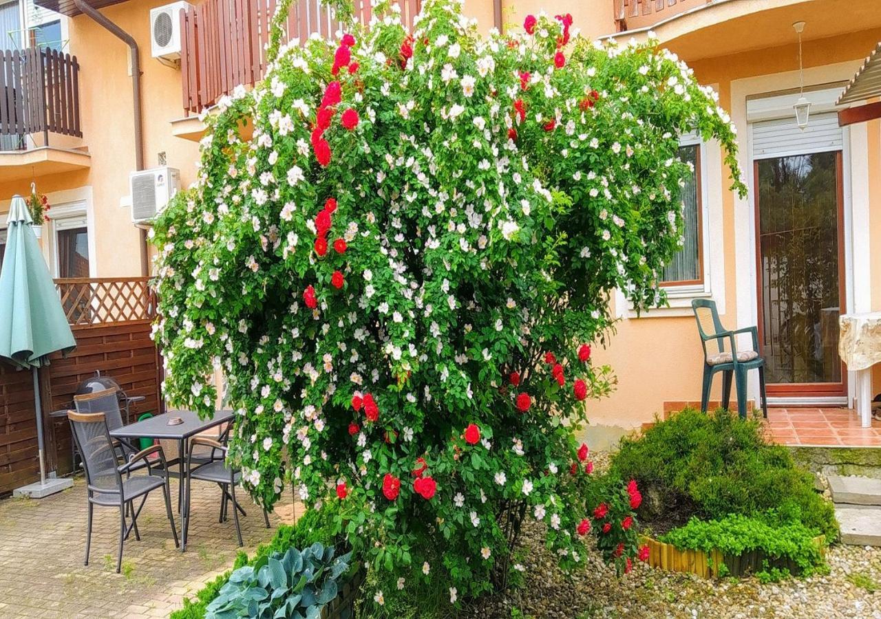Hellasz Apartman Gyula Buitenkant foto